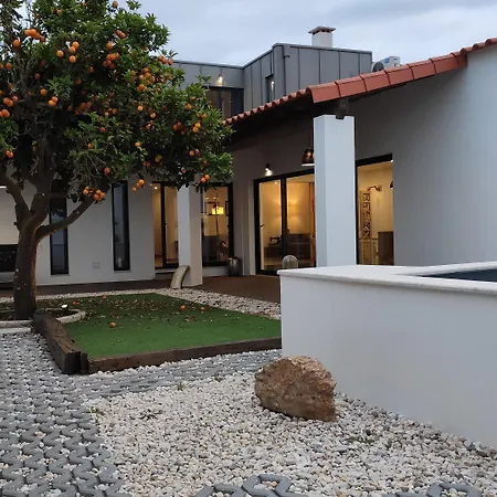 Laranjeira Loiras Óbidos